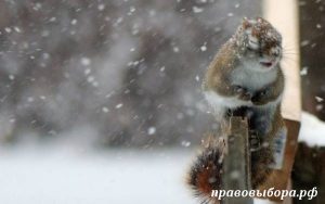 Холодный ветер вырывает из рук последние деньги